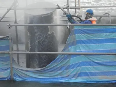 Crash Barrier Coating Application